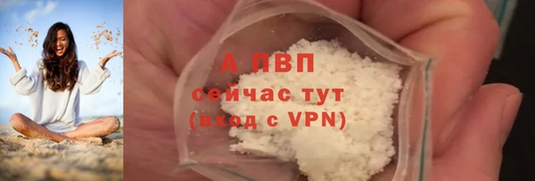 амф Осташков