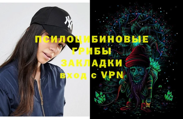 дживик Губаха