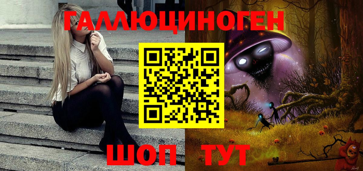 Псилоцибиновые грибы Cubensis  Большой Камень  Галлюциногенные грибы Psilocybine cubensis 