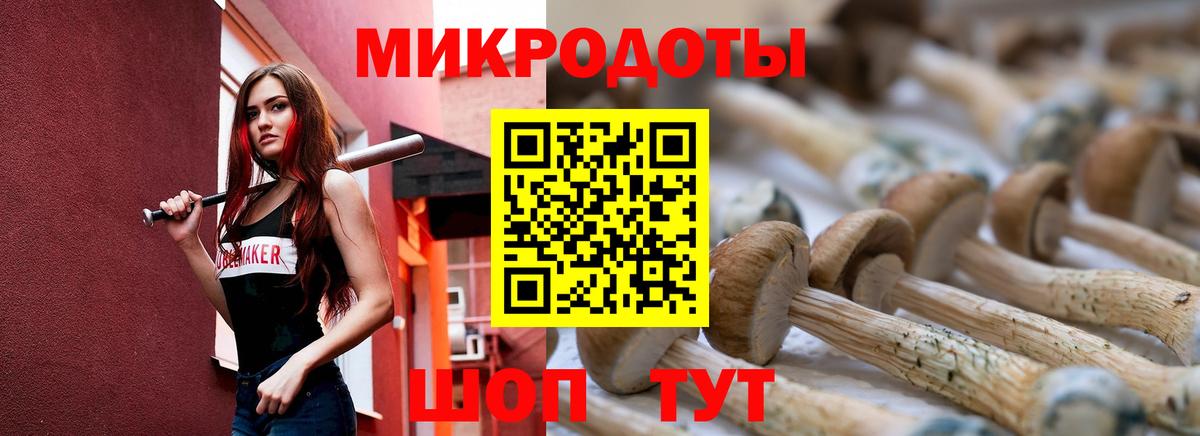 Псилоцибиновые грибы Psilocybe Большой Камень