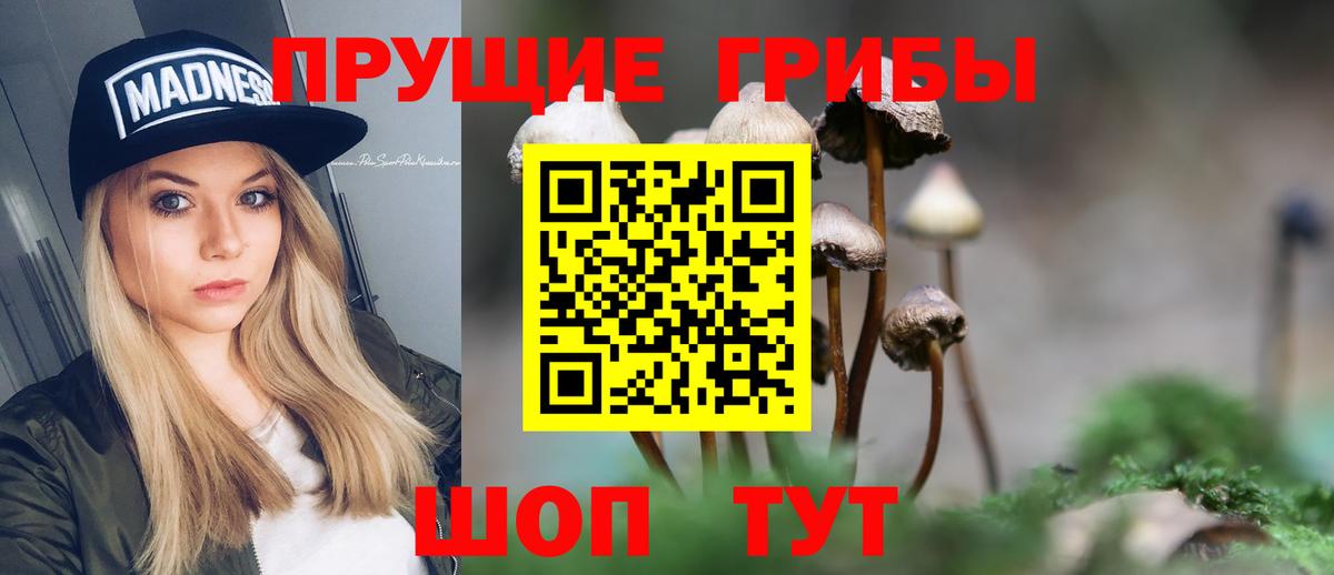 Псилоцибиновые грибы ЛСД  Вход с VPN  Псилоцибиновые грибы Cubensis  Большой Камень 