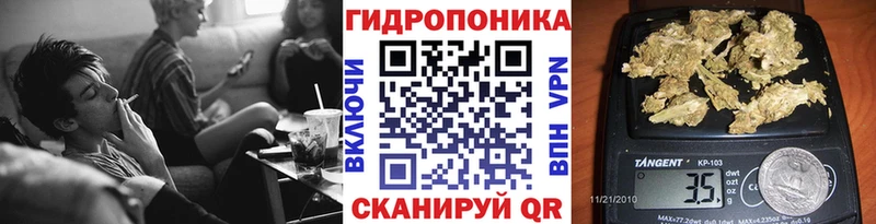 МАРИХУАНА Amnesia  Большой Камень 